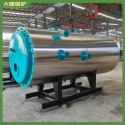 天津8吨燃油热水九游J9（中国）