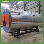 香港二十吨低氮蒸汽九游J9（中国）