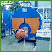 广东2.1mw低氮蒸汽九游J9（中国）