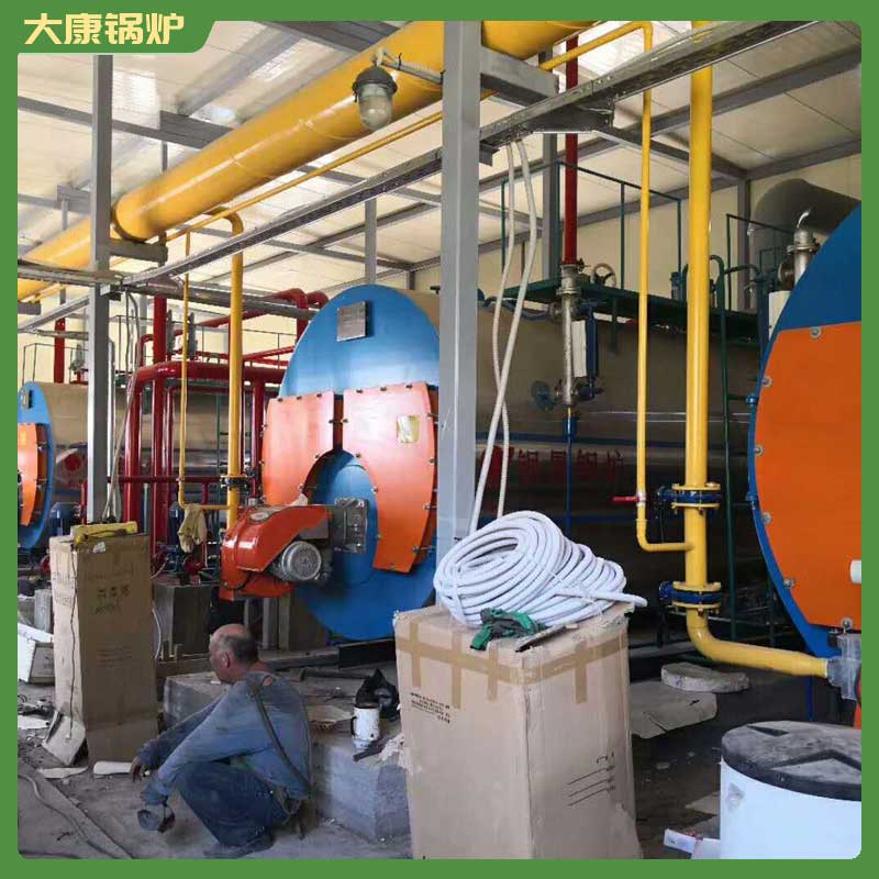 4吨生物质生物质九游J9（中国）