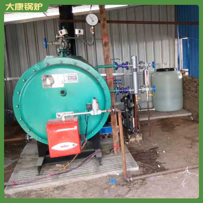 4吨燃气蒸汽九游J9（中国）