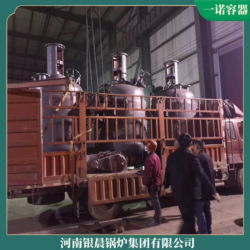 四吨低氮冷凝蒸汽九游J9（中国）