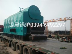 DZL6-1.25-T型6吨链条式生物质蒸汽九游J9（中国）发货