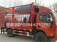 LSH0.5-0.7-T型立式生物质蒸汽九游J9（中国）发货