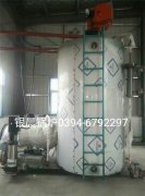 LSS4-1.6-Q型4吨贯流式燃气蒸汽九游J9（中国）安装现场