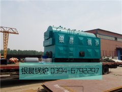 DZH4-1.25-T型4吨生物质蒸汽九游J9（中国）发货