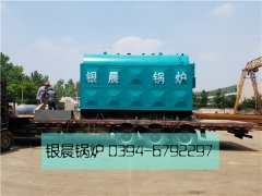 DZH4-1.25-T型4吨生物质蒸汽九游J9（中国）发货