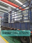 LSS2-1.0-Q型2吨贯流式燃气蒸汽九游J9（中国）发货