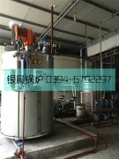 1吨贯流蒸汽九游J9（中国）安装现场