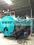 WNS2-1.25-Q型2吨燃气蒸汽九游J9（中国）安装现场