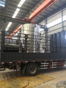 LSS4型4吨燃油气蒸汽九游J9（中国）