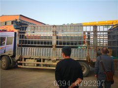 WNS2-1.25-QY型2吨燃气蒸汽九游J9（中国）