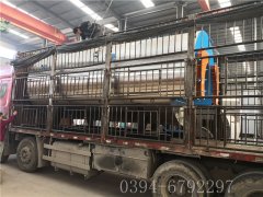 6吨燃气蒸汽九游J9（中国）