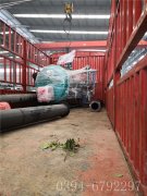 0.3吨燃油蒸汽九游J9（中国）出口