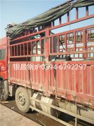 LSS0.5-1.0-Q型0.5吨贯流式燃气蒸汽九游J9（中国）发货